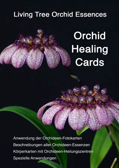 Titelbild deutsches Booklet zu Orchid Healing Cards der Living Tree Orchid Essences