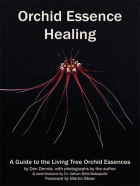 Buchcover von Orchid Essence Healing