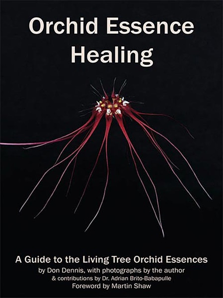 Buchcover von Orchid Essence Healing