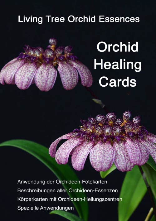 Titelbild deutsches Booklet zu Orchid Healing Cards der Living Tree Orchid Essences