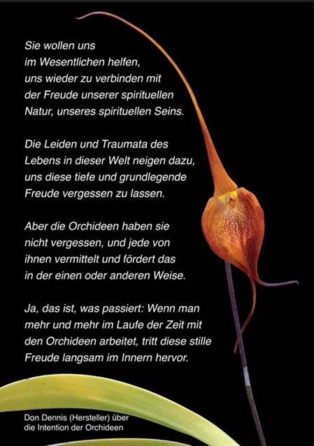 Rückseite LTOE Booklet mit Intention der Orchideen
