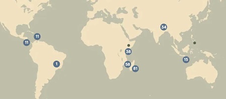 Länderkarte der Baumpflanzprojekte von Eden Reforestation