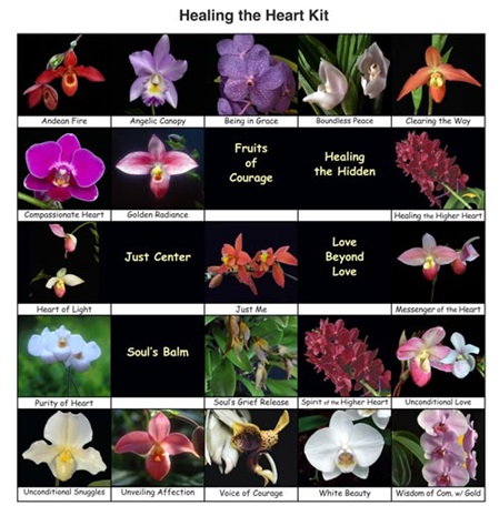 25 Fotos der Orchideen des Themensets 1 "Das Herz heilen"