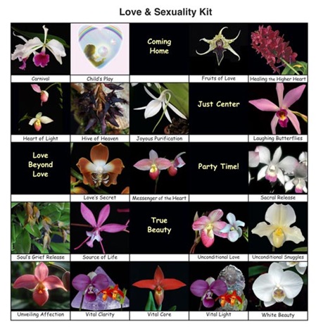 25 Fotos der Orchideen des Themensets 2 "Liebe und Sexualität"