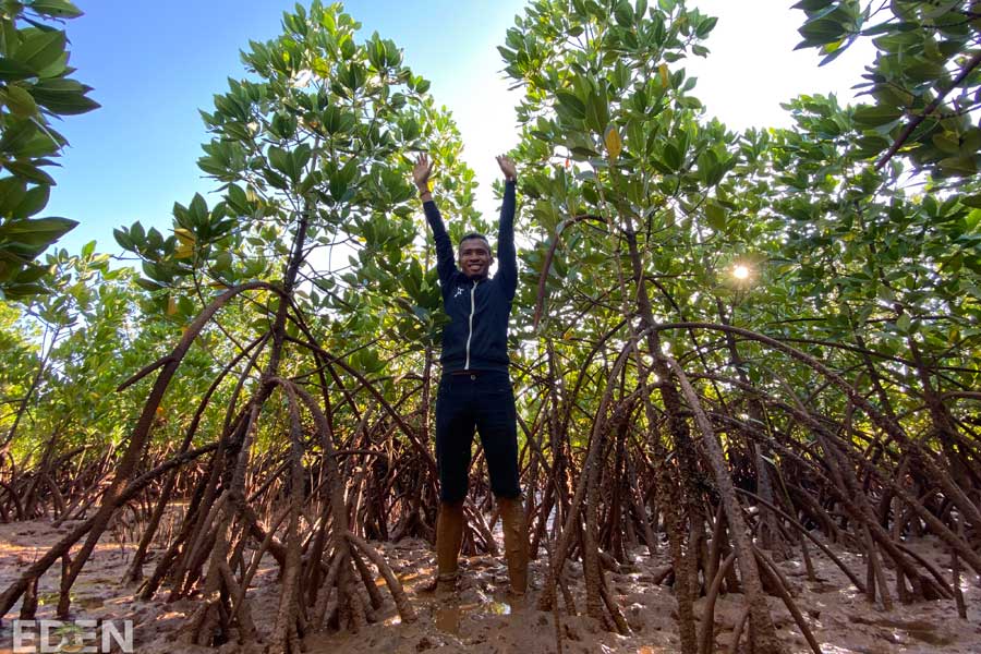 Mann mit freudig erhobenen Armen in Mangrovenwald