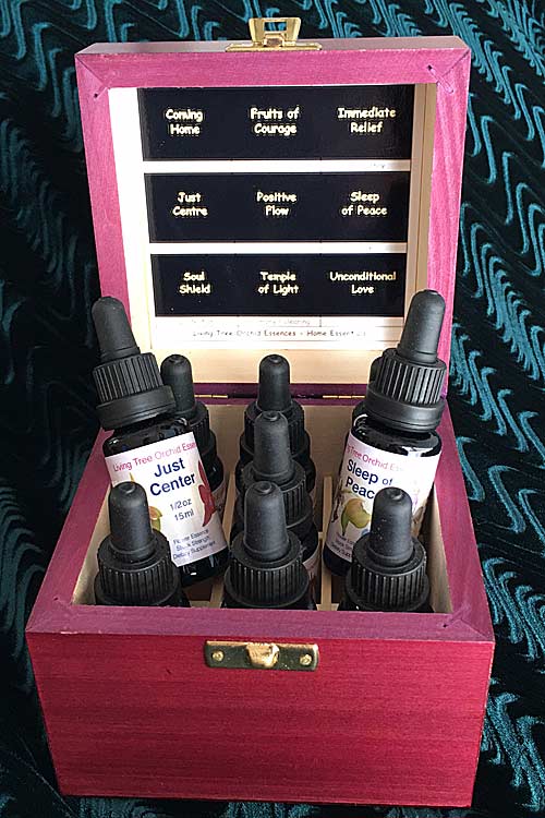Gefüllte violette Holzxbox des LTOE-Minisets mit 9 Orchideen-Essenzen