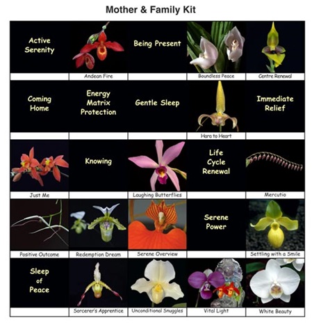 25 Fotos der Orchideen des Themensets 4 "Mutter und Familie"