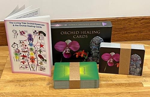Booklet, Karten, Box der Orchid Healing Cards