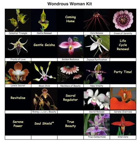 25 Fotos des Orchideen Themensets 8 "Wundersame Frauen"
